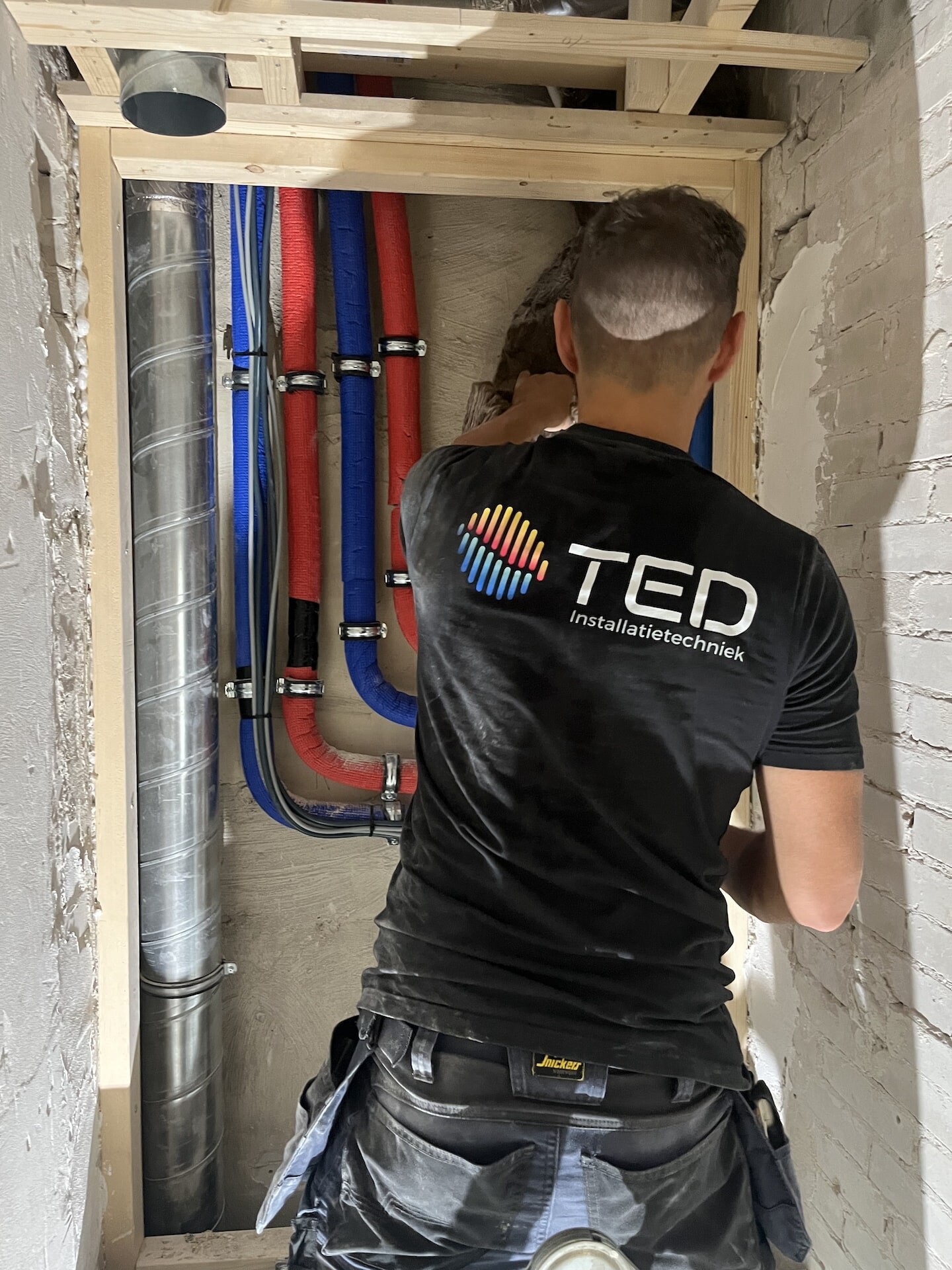 ted-header